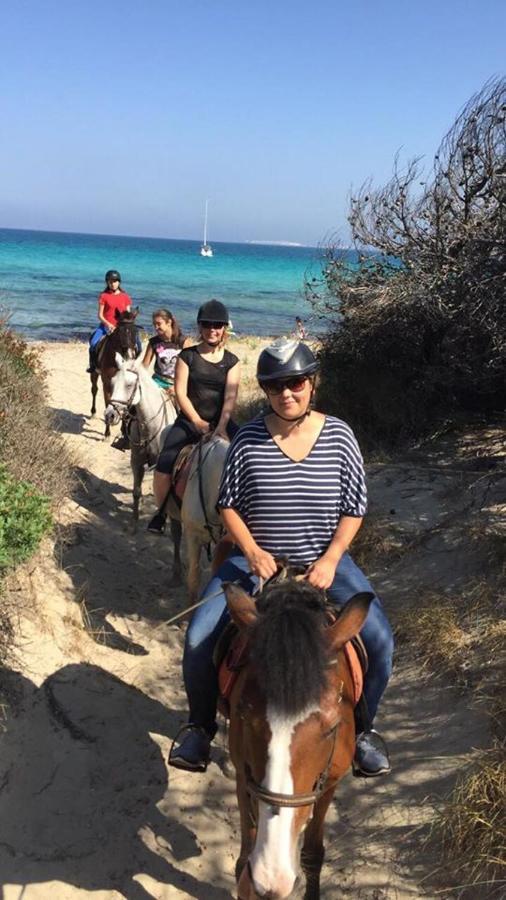 Villa Conca D'Oro Gallipoli Zewnętrze zdjęcie